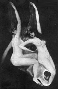 an_ass.jpg (10689 bytes)
