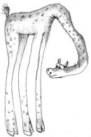 giraffe.jpg (5505 bytes)