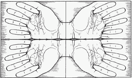 hands.gif (11279 bytes)