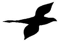 hawk_goose.gif (549 bytes)