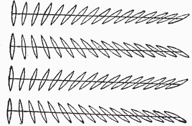 parall3.gif (8499 bytes)