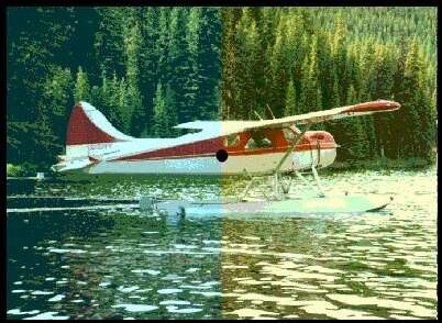 plane2.jpg (29167 bytes)